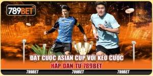 18 dat cuoc asian cup voi keo cuoc hap dan tu 789bet 768x384 1